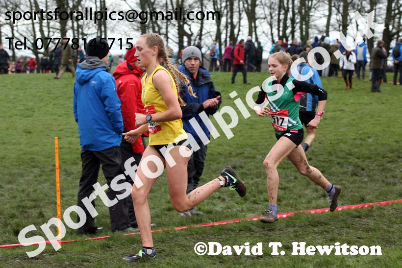 Intermediate girls 2019 New Balance English Schools Cross Country Champs, Temple Newsam, Leeds. Photo:  David T. Hewitson/Sports for All Pics